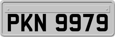 PKN9979