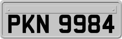 PKN9984