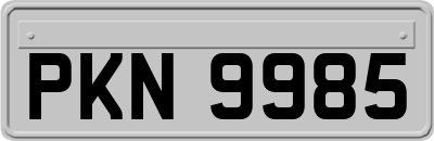 PKN9985