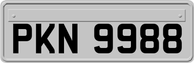 PKN9988