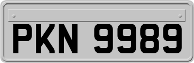 PKN9989