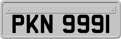 PKN9991