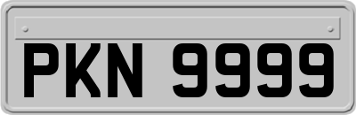PKN9999