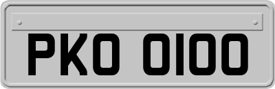 PKO0100