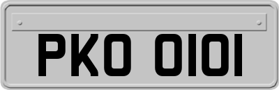 PKO0101