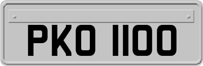 PKO1100