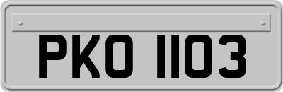 PKO1103