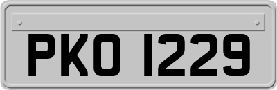 PKO1229