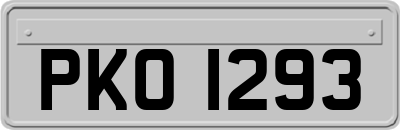 PKO1293