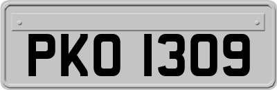 PKO1309