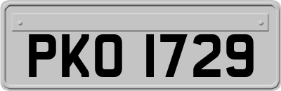 PKO1729