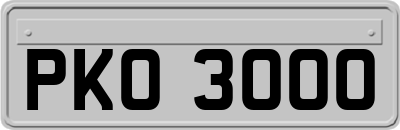 PKO3000