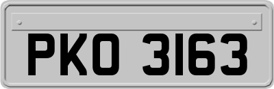 PKO3163