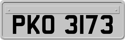 PKO3173
