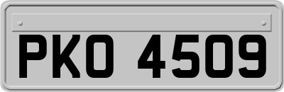 PKO4509