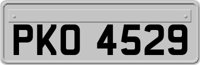 PKO4529