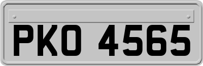 PKO4565