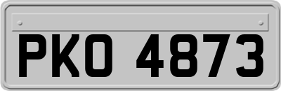 PKO4873