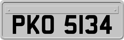 PKO5134