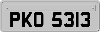 PKO5313