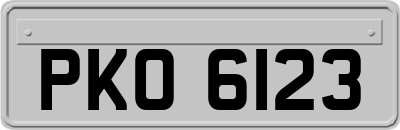 PKO6123