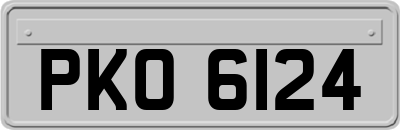PKO6124