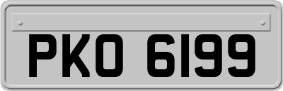 PKO6199