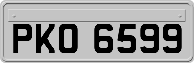 PKO6599