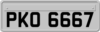 PKO6667
