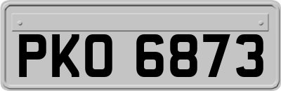 PKO6873