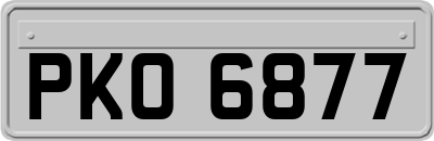 PKO6877