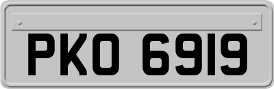 PKO6919