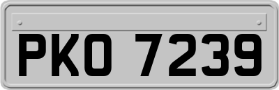 PKO7239