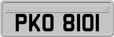 PKO8101