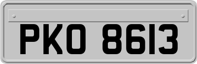 PKO8613