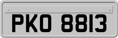 PKO8813