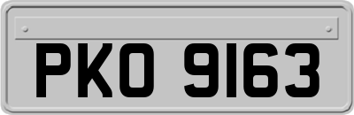 PKO9163