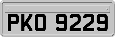 PKO9229