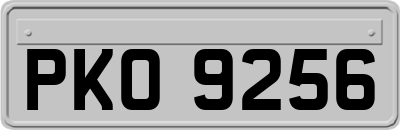 PKO9256