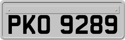 PKO9289