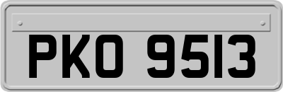PKO9513