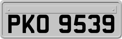 PKO9539