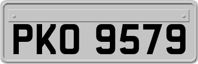 PKO9579