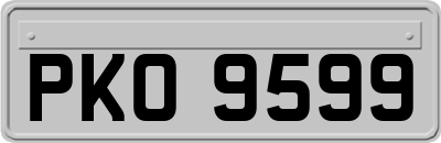 PKO9599