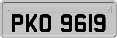 PKO9619