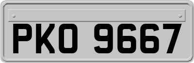 PKO9667