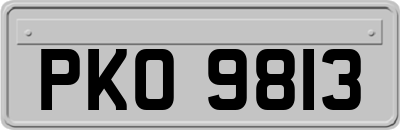 PKO9813