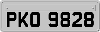 PKO9828