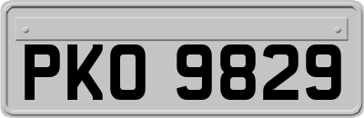 PKO9829