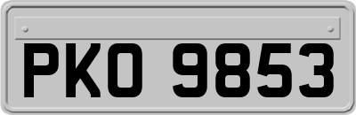 PKO9853